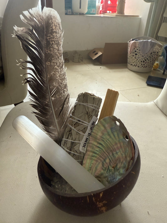 Natural Coconut Shell Bowl